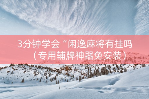 3分钟学会“闲逸麻将有挂吗（专用辅牌神器免安装）