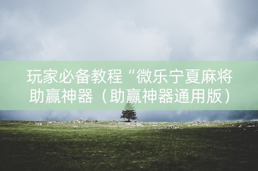 玩家必备教程“微乐宁夏麻将助赢神器（助赢神器通用版）