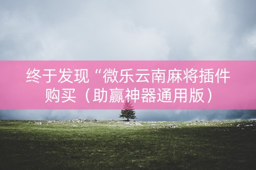 终于发现“微乐云南麻将插件购买（助赢神器通用版）