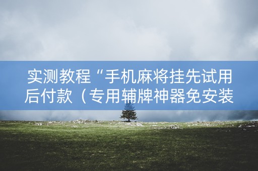 实测教程“手机麻将挂先试用后付款（专用辅牌神器免安装）