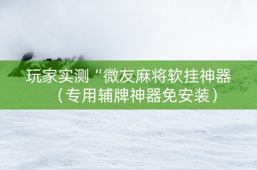 玩家实测“微友麻将软挂神器（专用辅牌神器免安装）