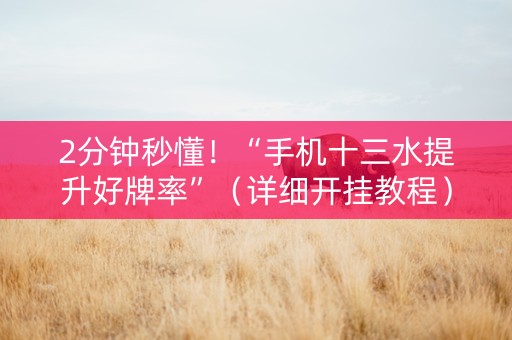2分钟秒懂！“手机十三水提升好牌率”（详细开挂教程）-哔哩哔哩