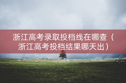 浙江高考录取投档线在哪查（浙江高考投档结果哪天出）