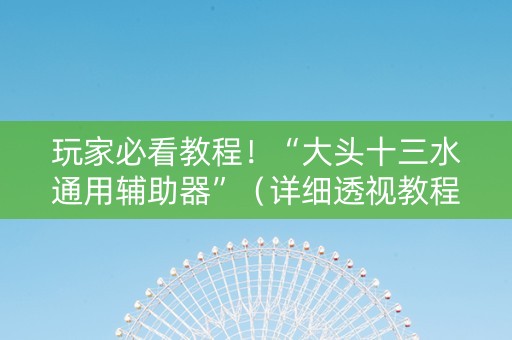 玩家必看教程！“大头十三水通用辅助器”（详细透视教程）-哔哩哔哩
