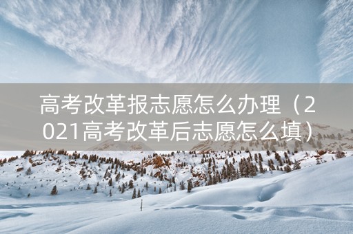 高考改革报志愿怎么办理（2021高考改革后志愿怎么填）