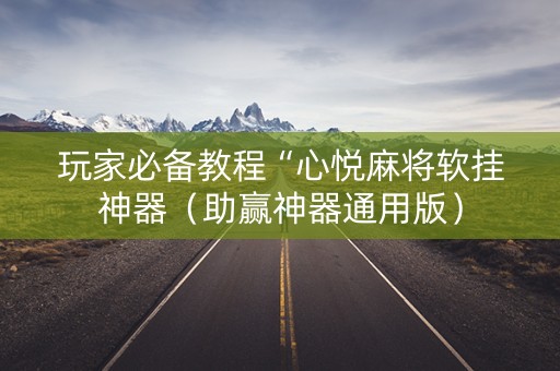 玩家必备教程“心悦麻将软挂神器（助赢神器通用版）