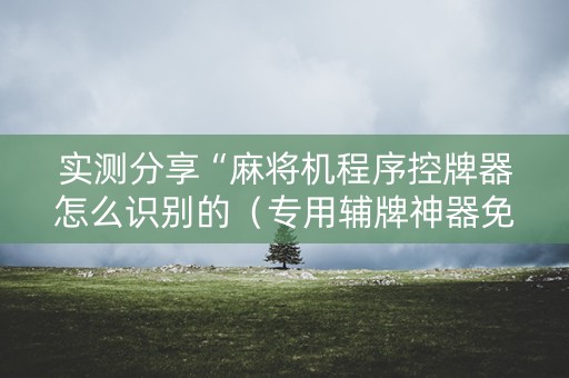 实测分享“麻将机程序控牌器怎么识别的（专用辅牌神器免安装）