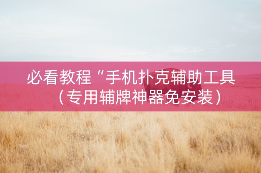必看教程“手机扑克辅助工具（专用辅牌神器免安装）