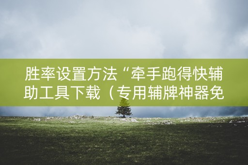 胜率设置方法“牵手跑得快辅助工具下载（专用辅牌神器免安装）
