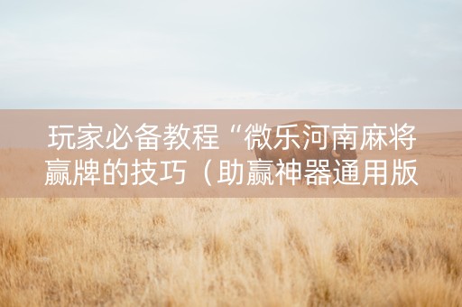 玩家必备教程“微乐河南麻将赢牌的技巧（助赢神器通用版）