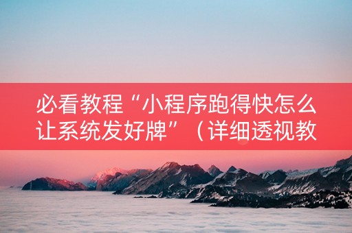 必看教程“小程序跑得快怎么让系统发好牌”（详细透视教程）-哔哩哔哩