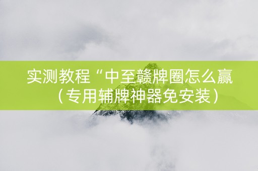 实测教程“中至赣牌圈怎么赢（专用辅牌神器免安装）