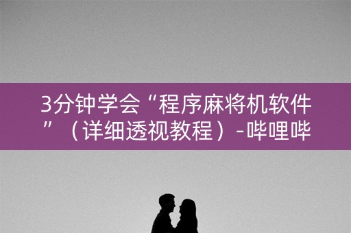 3分钟学会“程序麻将机软件”（详细透视教程）-哔哩哔哩