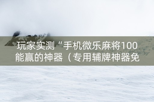 玩家实测“手机微乐麻将100能赢的神器（专用辅牌神器免安装）