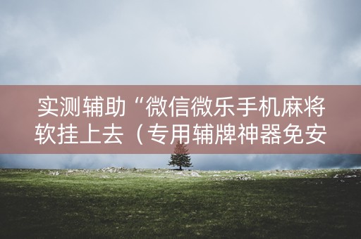 实测辅助“微信微乐手机麻将软挂上去（专用辅牌神器免安装）