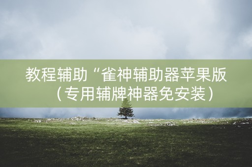 教程辅助“雀神辅助器苹果版（专用辅牌神器免安装）