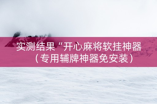 实测结果“开心麻将软挂神器（专用辅牌神器免安装）
