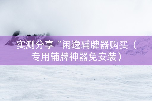 实测分享“闲逸辅牌器购买（专用辅牌神器免安装）