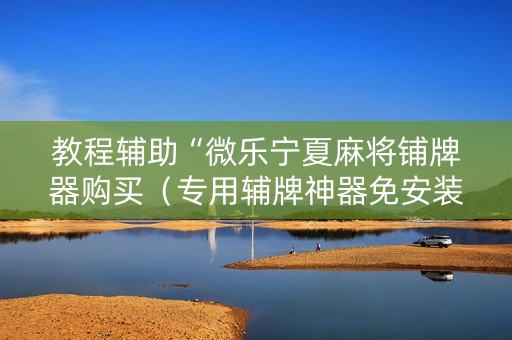 教程辅助“微乐宁夏麻将铺牌器购买（专用辅牌神器免安装）