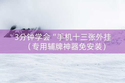 3分钟学会“手机十三张外挂（专用辅牌神器免安装）