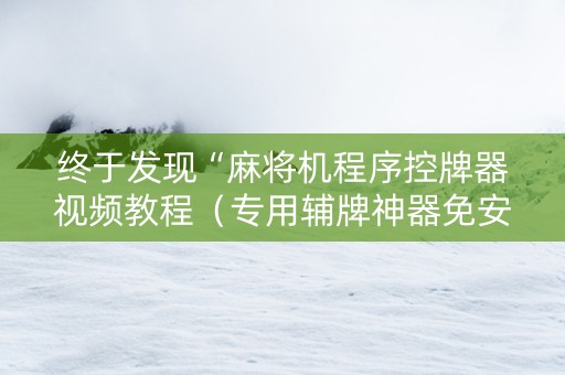 终于发现“麻将机程序控牌器视频教程（专用辅牌神器免安装）