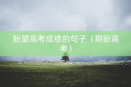 盼望高考成绩的句子（期盼高考）