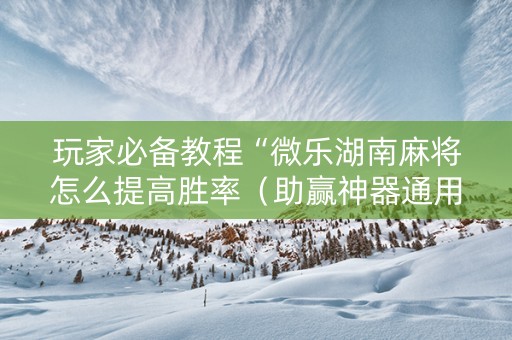 玩家必备教程“微乐湖南麻将怎么提高胜率（助赢神器通用版）