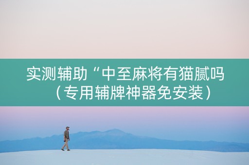 实测辅助“中至麻将有猫腻吗（专用辅牌神器免安装）