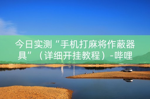 今日实测“手机打麻将作蔽器具”（详细开挂教程）-哔哩哔哩