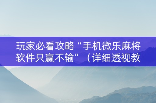 玩家必看攻略“手机微乐麻将软件只赢不输”（详细透视教程）-哔哩哔哩