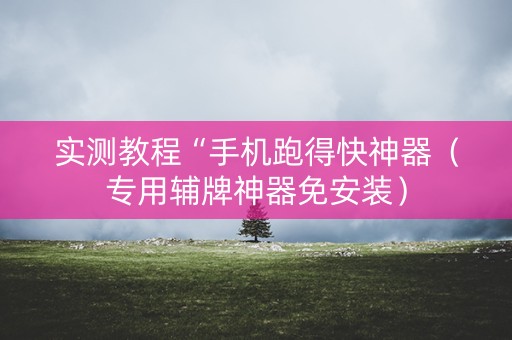 实测教程“手机跑得快神器（专用辅牌神器免安装）