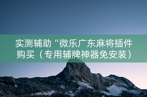 实测辅助“微乐广东麻将插件购买（专用辅牌神器免安装）