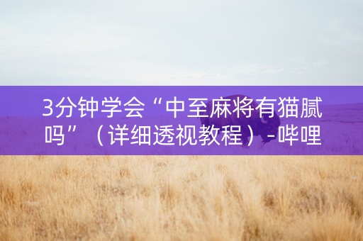 3分钟学会“中至麻将有猫腻吗”（详细透视教程）-哔哩哔哩