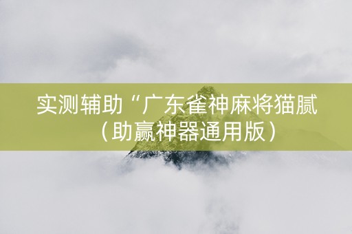 实测辅助“广东雀神麻将猫腻（助赢神器通用版）