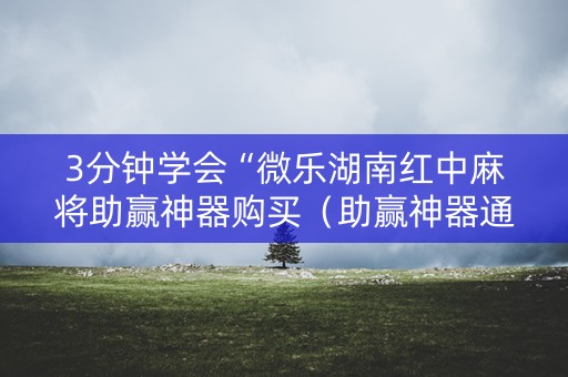 3分钟学会“微乐湖南红中麻将助赢神器购买（助赢神器通用版）