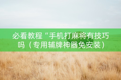 必看教程“手机打麻将有技巧吗（专用辅牌神器免安装）