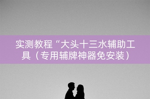 实测教程“大头十三水辅助工具（专用辅牌神器免安装）