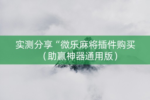 实测分享“微乐麻将插件购买（助赢神器通用版）
