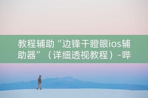 教程辅助“边锋干瞪眼ios辅助器”（详细透视教程）-哔哩哔哩