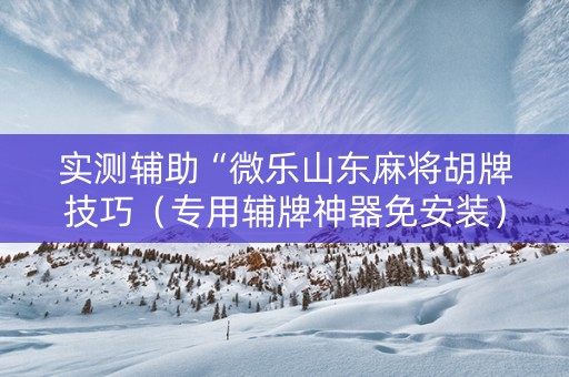 实测辅助“微乐山东麻将胡牌技巧（专用辅牌神器免安装）