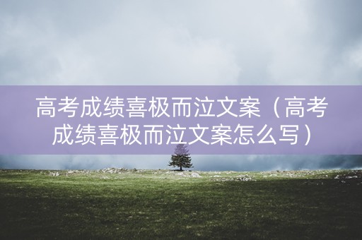 高考成绩喜极而泣文案（高考成绩喜极而泣文案怎么写）