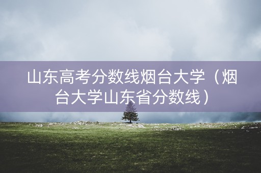 山东高考分数线烟台大学（烟台大学山东省分数线）