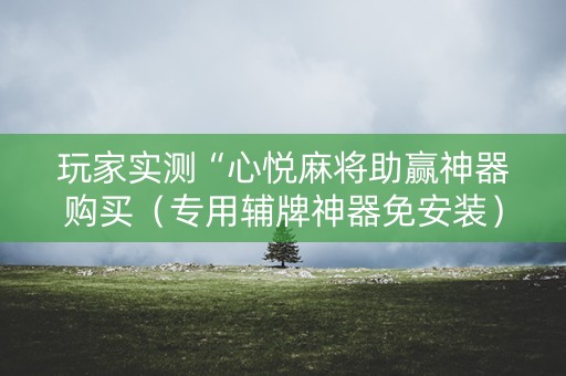 玩家实测“心悦麻将助赢神器购买（专用辅牌神器免安装）