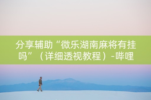 分享辅助“微乐湖南麻将有挂吗”（详细透视教程）-哔哩哔哩