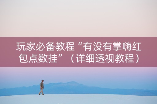 玩家必备教程“有没有掌嗨红包点数挂”（详细透视教程）-哔哩哔哩