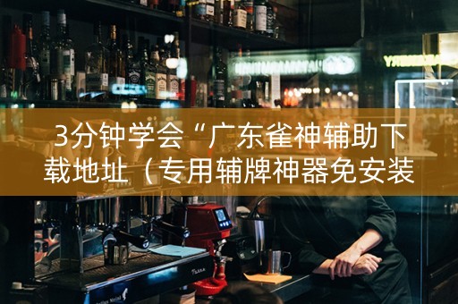 3分钟学会“广东雀神辅助下载地址（专用辅牌神器免安装）