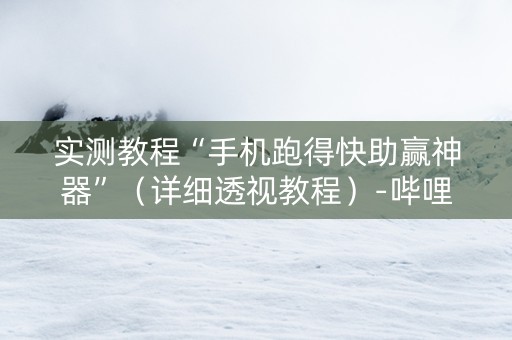 实测教程“手机跑得快助赢神器”（详细透视教程）-哔哩哔哩