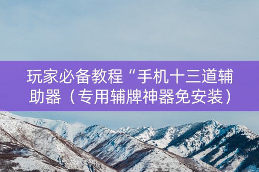 玩家必备教程“手机十三道辅助器（专用辅牌神器免安装）