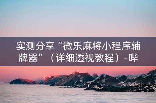 实测分享“微乐麻将小程序辅牌器”（详细透视教程）-哔哩哔哩