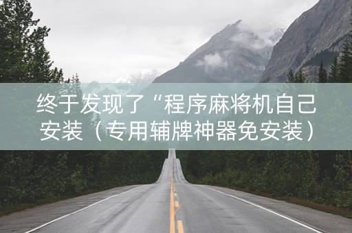 终于发现了“程序麻将机自己安装（专用辅牌神器免安装）